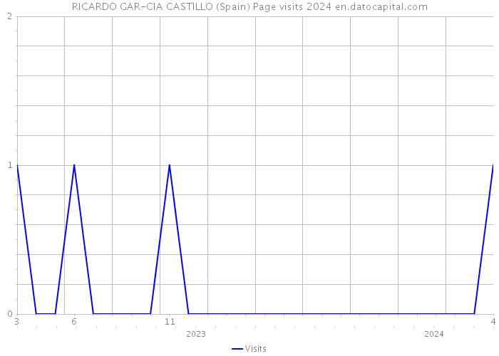 RICARDO GAR-CIA CASTILLO (Spain) Page visits 2024 