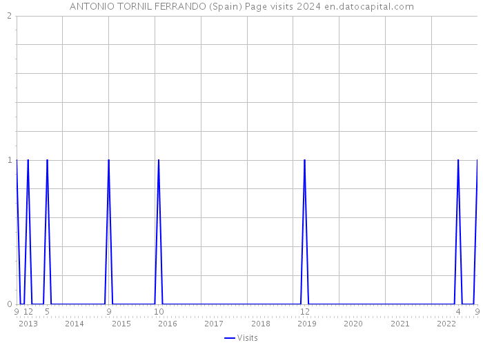 ANTONIO TORNIL FERRANDO (Spain) Page visits 2024 