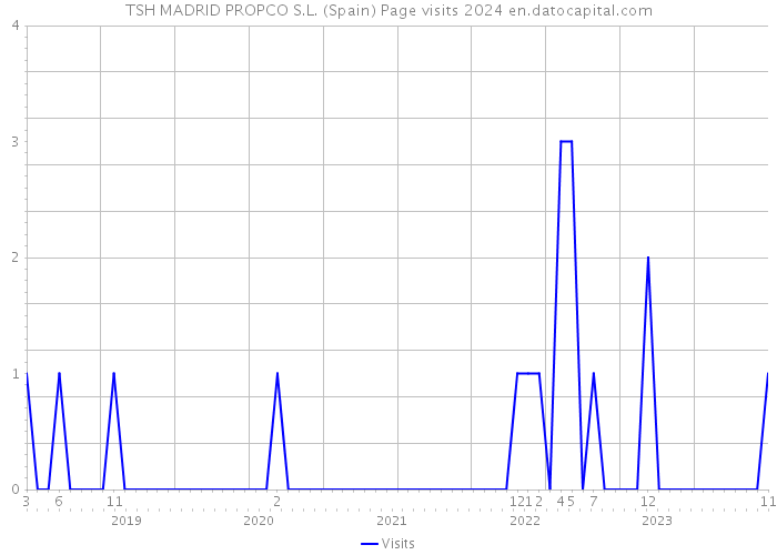 TSH MADRID PROPCO S.L. (Spain) Page visits 2024 