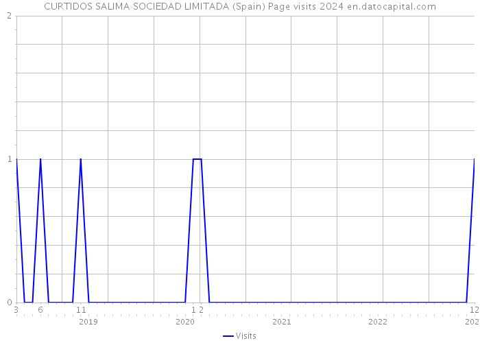 CURTIDOS SALIMA SOCIEDAD LIMITADA (Spain) Page visits 2024 