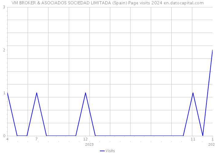 VM BROKER & ASOCIADOS SOCIEDAD LIMITADA (Spain) Page visits 2024 