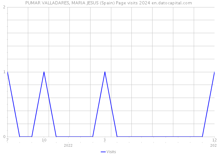 PUMAR VALLADARES, MARIA JESUS (Spain) Page visits 2024 