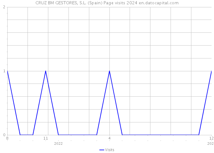 CRUZ BM GESTORES, S.L. (Spain) Page visits 2024 