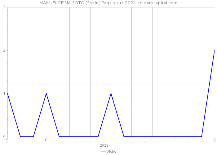 MANUEL REINA SOTO (Spain) Page visits 2024 