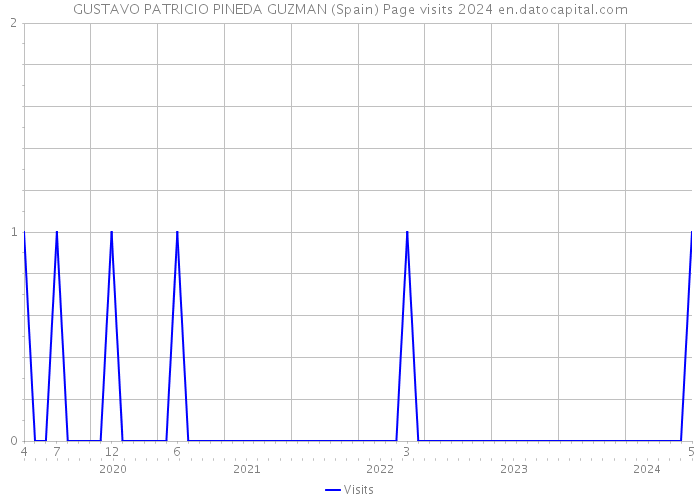 GUSTAVO PATRICIO PINEDA GUZMAN (Spain) Page visits 2024 