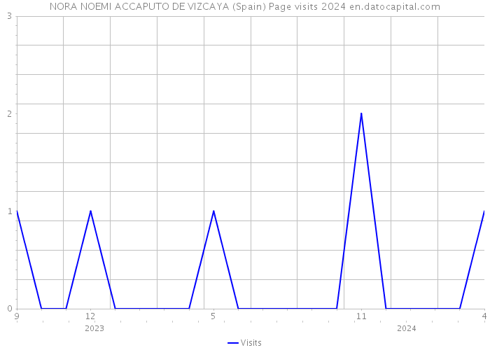 NORA NOEMI ACCAPUTO DE VIZCAYA (Spain) Page visits 2024 