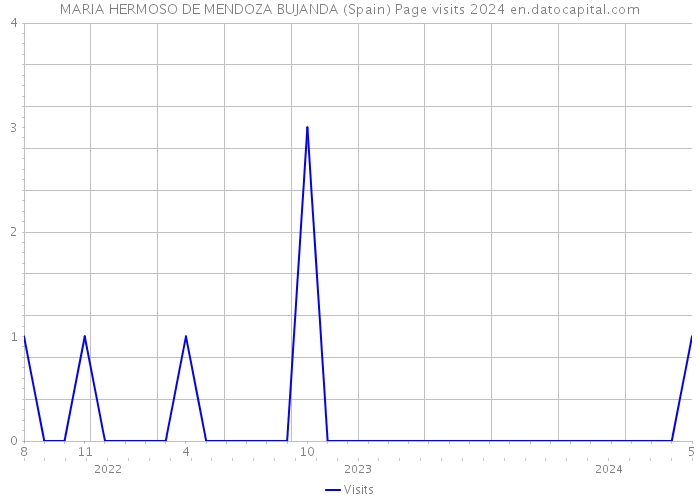 MARIA HERMOSO DE MENDOZA BUJANDA (Spain) Page visits 2024 