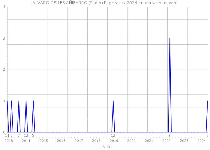 ALVARO CELLES AÑIBARRO (Spain) Page visits 2024 