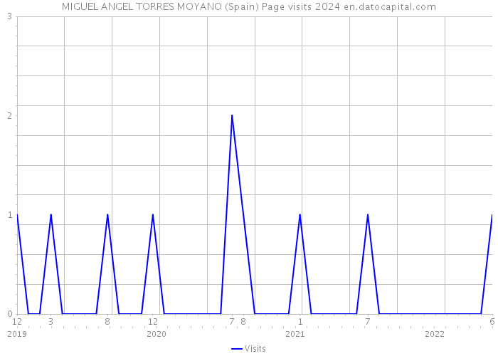 MIGUEL ANGEL TORRES MOYANO (Spain) Page visits 2024 
