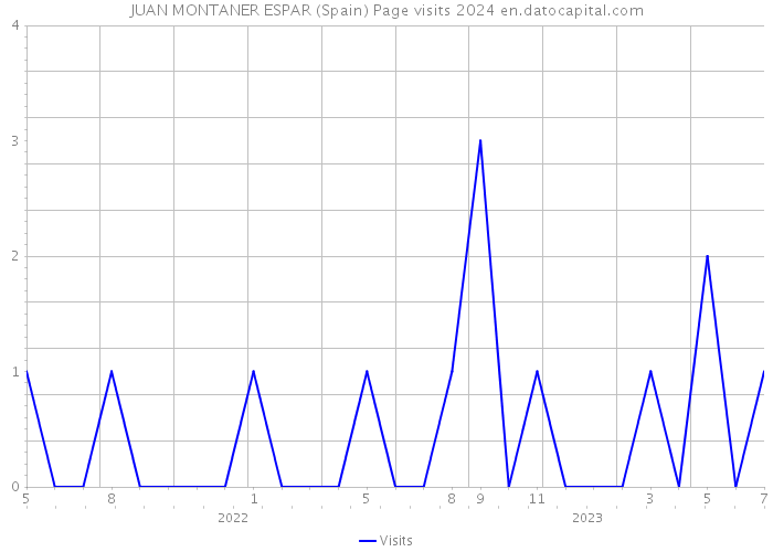 JUAN MONTANER ESPAR (Spain) Page visits 2024 