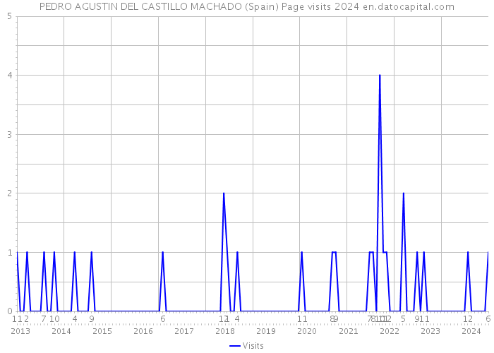 PEDRO AGUSTIN DEL CASTILLO MACHADO (Spain) Page visits 2024 