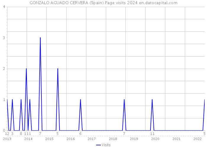 GONZALO AGUADO CERVERA (Spain) Page visits 2024 