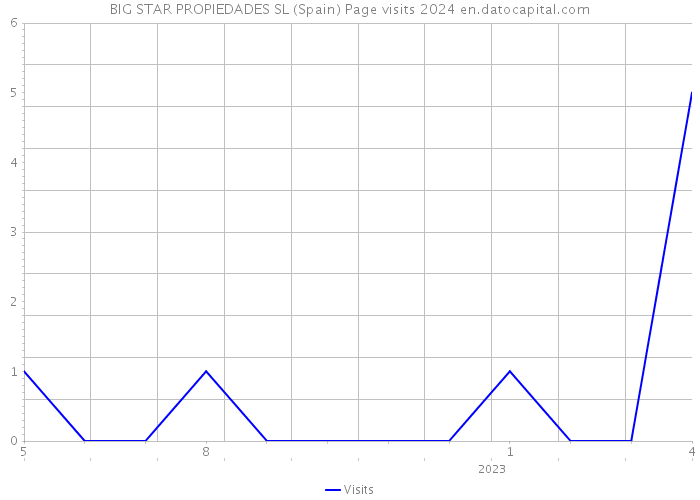 BIG STAR PROPIEDADES SL (Spain) Page visits 2024 