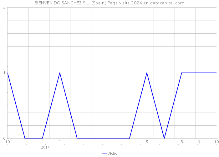 BIENVENIDO SANCHEZ S.L. (Spain) Page visits 2024 