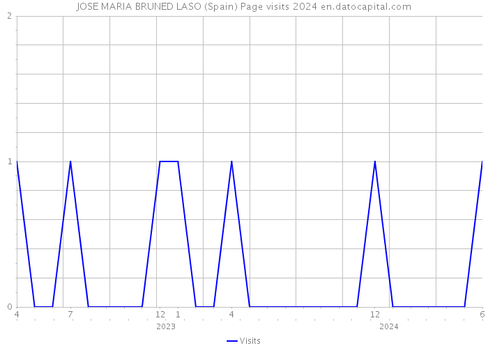 JOSE MARIA BRUNED LASO (Spain) Page visits 2024 