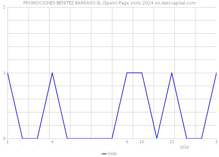 PROMOCIONES BENITEZ BARRASO SL (Spain) Page visits 2024 