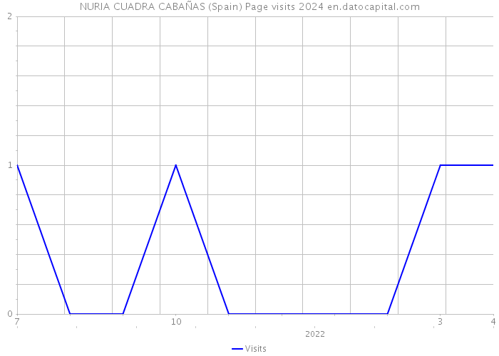 NURIA CUADRA CABAÑAS (Spain) Page visits 2024 