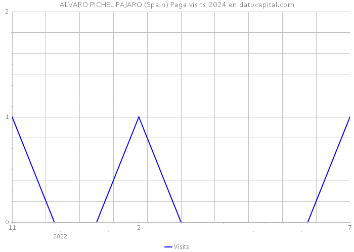 ALVARO PICHEL PAJARO (Spain) Page visits 2024 