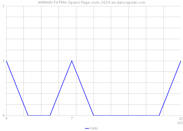 AMMARI FATMA (Spain) Page visits 2024 