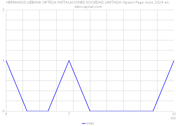 HERMANOS LIEBANA ORTEGA INSTALACIONES SOCIEDAD LIMITADA (Spain) Page visits 2024 