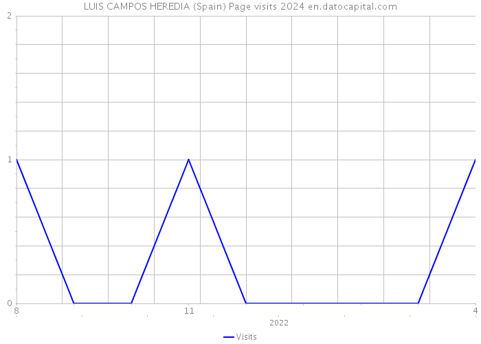 LUIS CAMPOS HEREDIA (Spain) Page visits 2024 