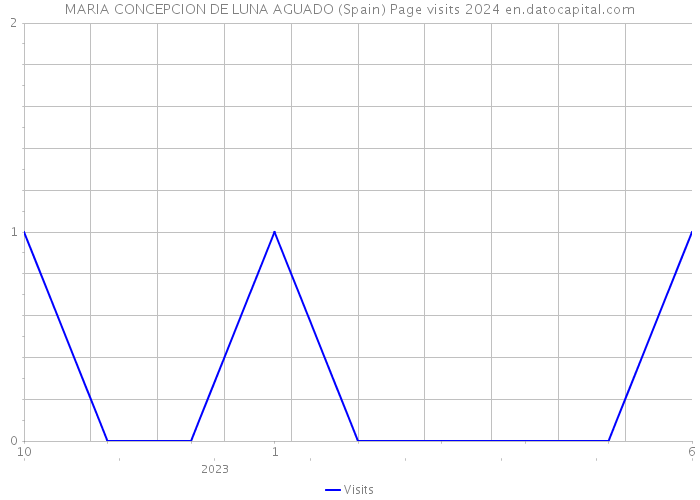 MARIA CONCEPCION DE LUNA AGUADO (Spain) Page visits 2024 