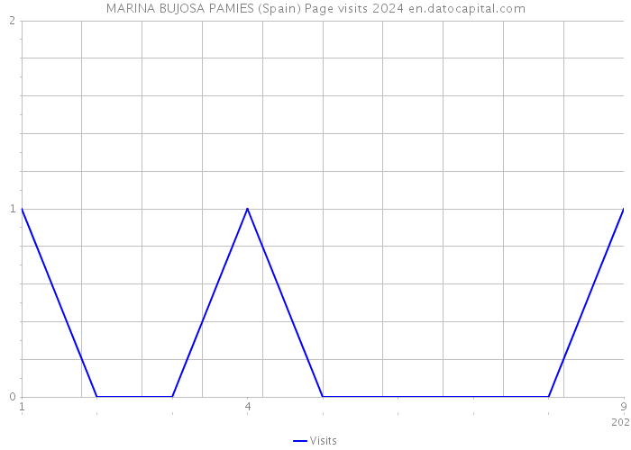 MARINA BUJOSA PAMIES (Spain) Page visits 2024 