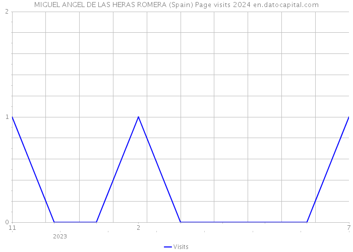 MIGUEL ANGEL DE LAS HERAS ROMERA (Spain) Page visits 2024 