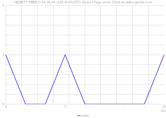 NESBITT REBELO SA SILVA LUIS AUGUSTO (Spain) Page visits 2024 