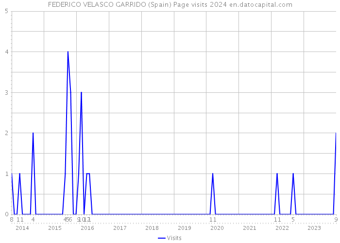 FEDERICO VELASCO GARRIDO (Spain) Page visits 2024 