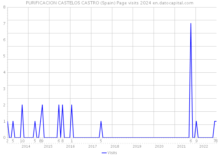 PURIFICACION CASTELOS CASTRO (Spain) Page visits 2024 