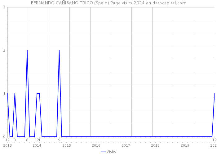 FERNANDO CAÑIBANO TRIGO (Spain) Page visits 2024 