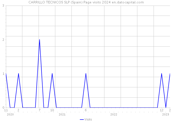 CARRILLO TECNICOS SLP (Spain) Page visits 2024 