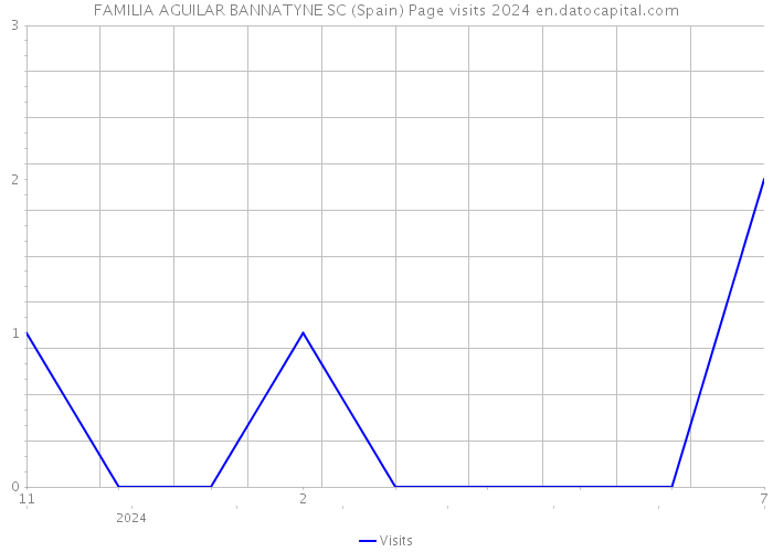 FAMILIA AGUILAR BANNATYNE SC (Spain) Page visits 2024 