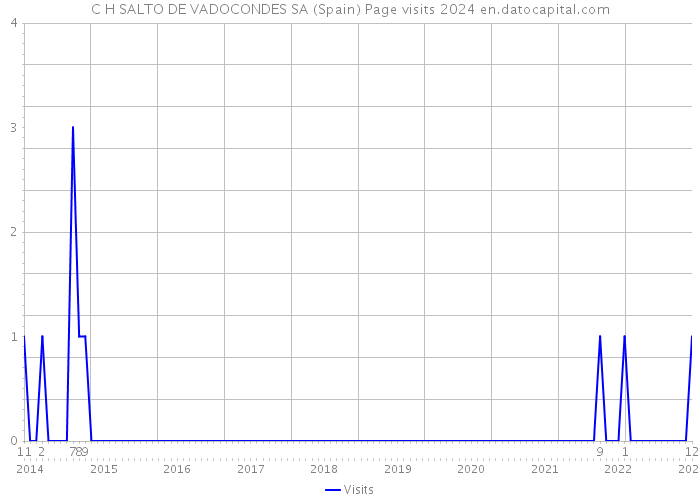C H SALTO DE VADOCONDES SA (Spain) Page visits 2024 