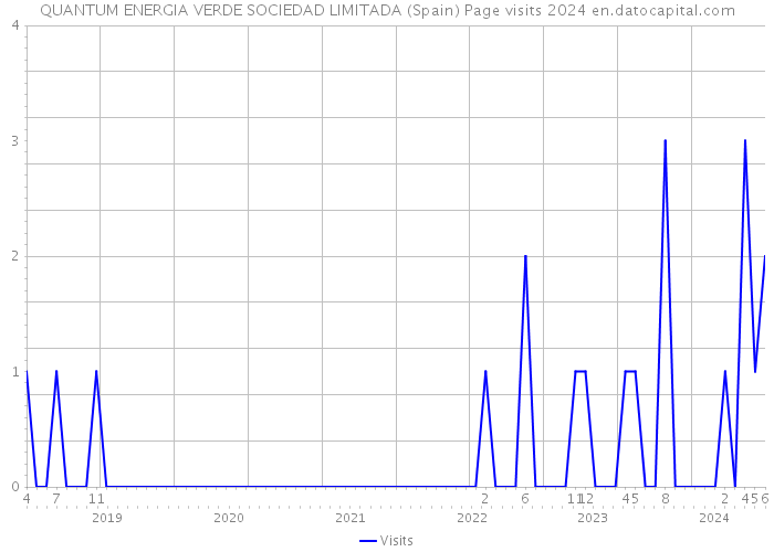 QUANTUM ENERGIA VERDE SOCIEDAD LIMITADA (Spain) Page visits 2024 