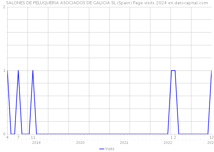 SALONES DE PELUQUERIA ASOCIADOS DE GALICIA SL (Spain) Page visits 2024 