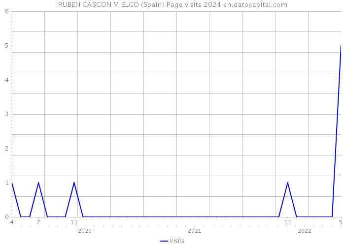 RUBEN CASCON MIELGO (Spain) Page visits 2024 