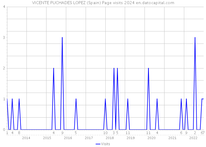 VICENTE PUCHADES LOPEZ (Spain) Page visits 2024 