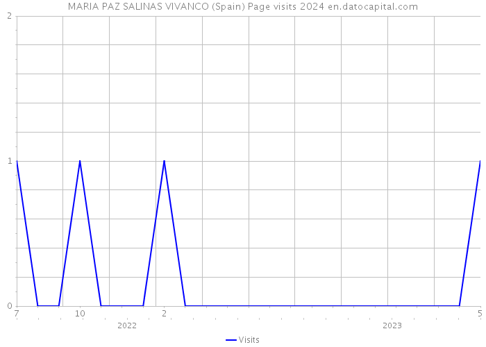 MARIA PAZ SALINAS VIVANCO (Spain) Page visits 2024 