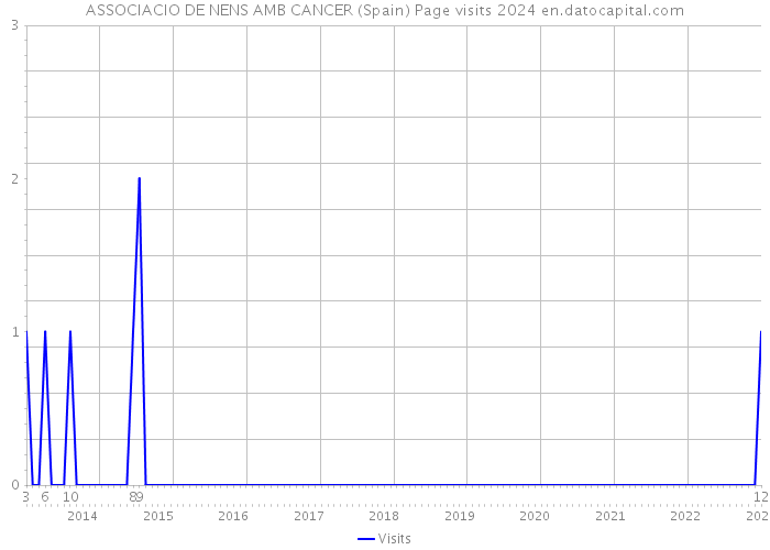 ASSOCIACIO DE NENS AMB CANCER (Spain) Page visits 2024 