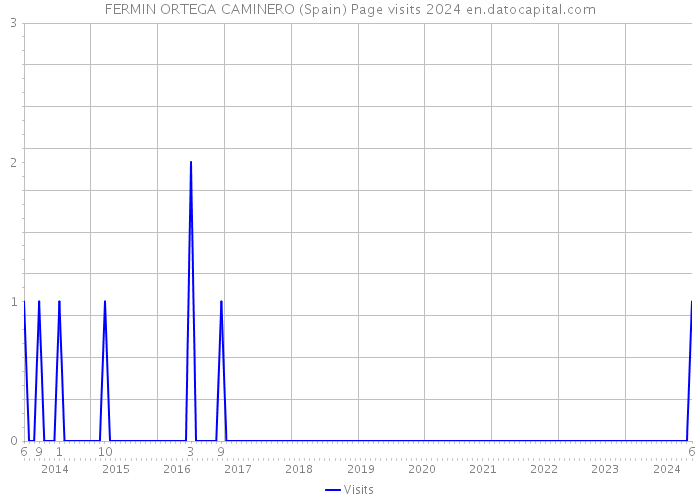 FERMIN ORTEGA CAMINERO (Spain) Page visits 2024 