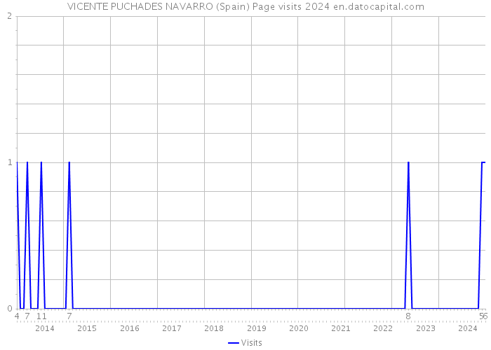 VICENTE PUCHADES NAVARRO (Spain) Page visits 2024 