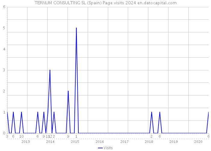 TERNUM CONSULTING SL (Spain) Page visits 2024 
