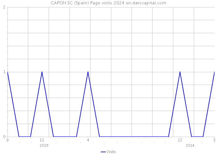 CAPON SC (Spain) Page visits 2024 