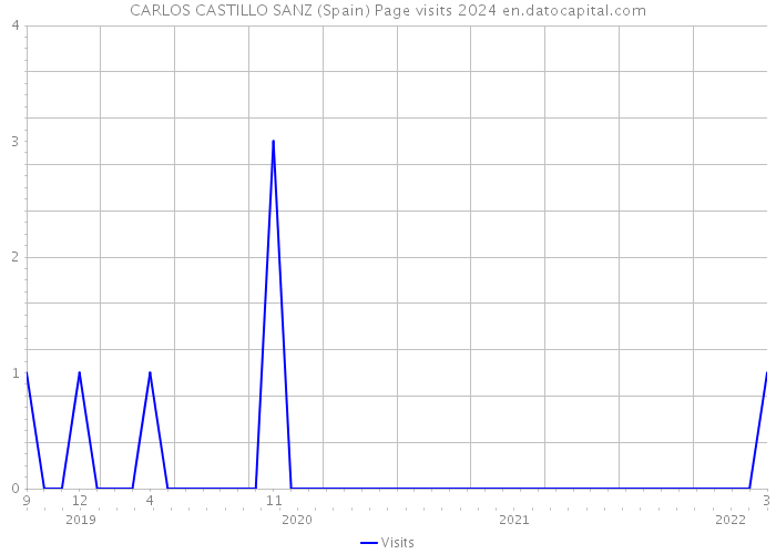 CARLOS CASTILLO SANZ (Spain) Page visits 2024 