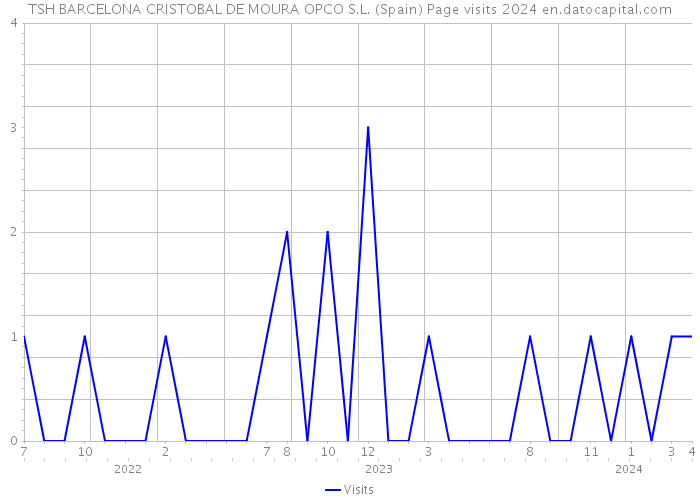 TSH BARCELONA CRISTOBAL DE MOURA OPCO S.L. (Spain) Page visits 2024 