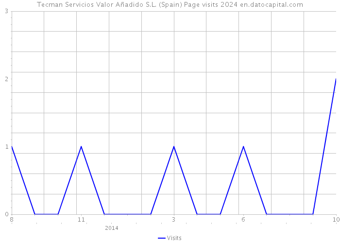 Tecman Servicios Valor Añadido S.L. (Spain) Page visits 2024 