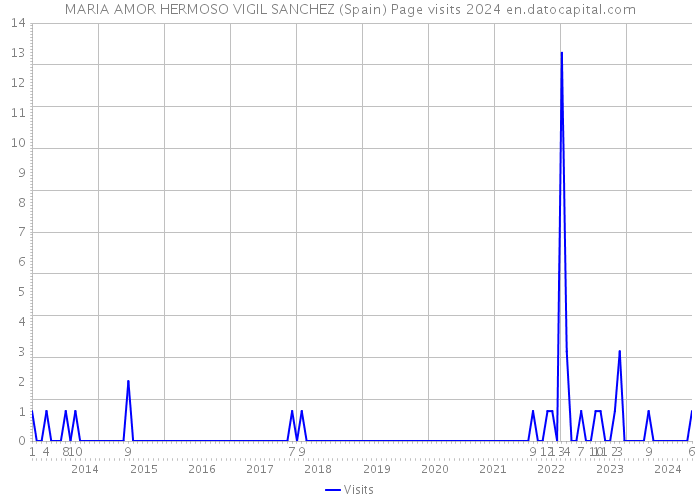 MARIA AMOR HERMOSO VIGIL SANCHEZ (Spain) Page visits 2024 