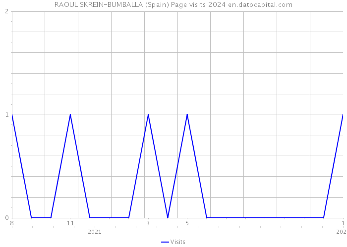 RAOUL SKREIN-BUMBALLA (Spain) Page visits 2024 
